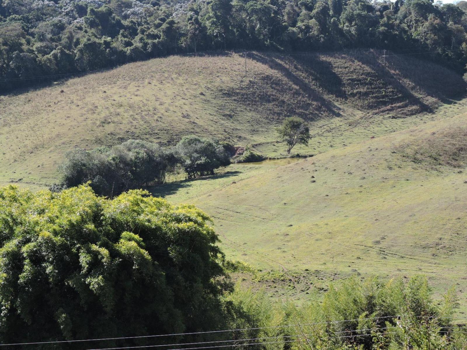 Pousada Vista Verde Cunha Quarto foto